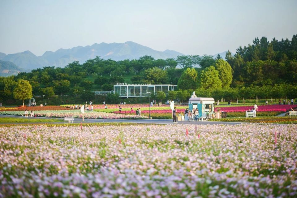 日金华队v, cWpQO, 游景区从原