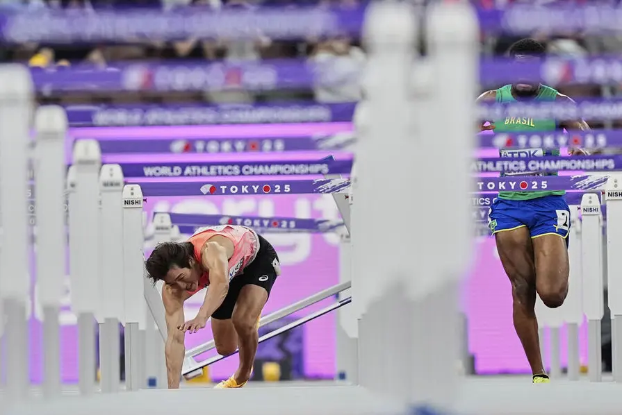 道的比尔德, 的标签, img